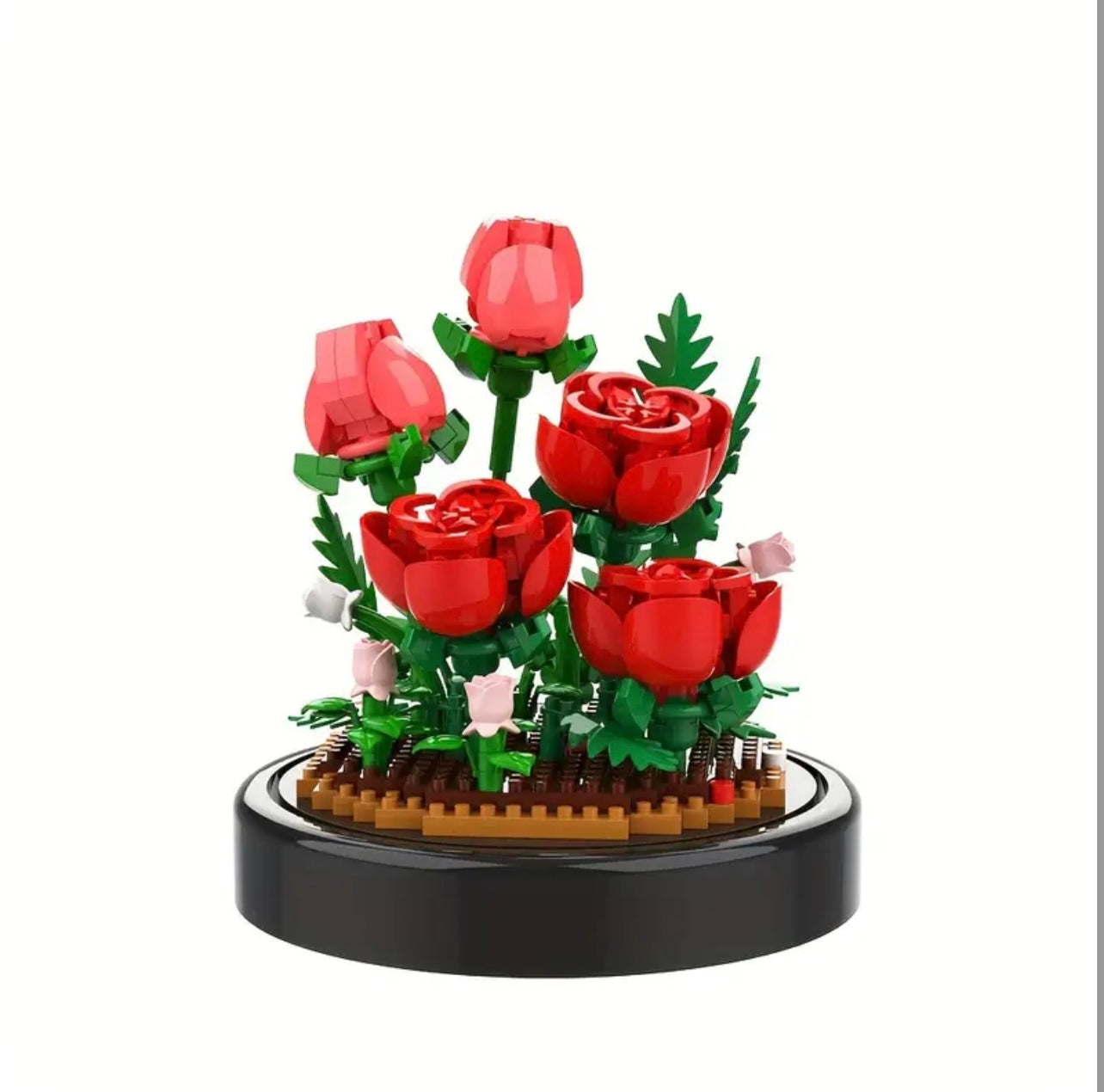 rose sous cloche rouge