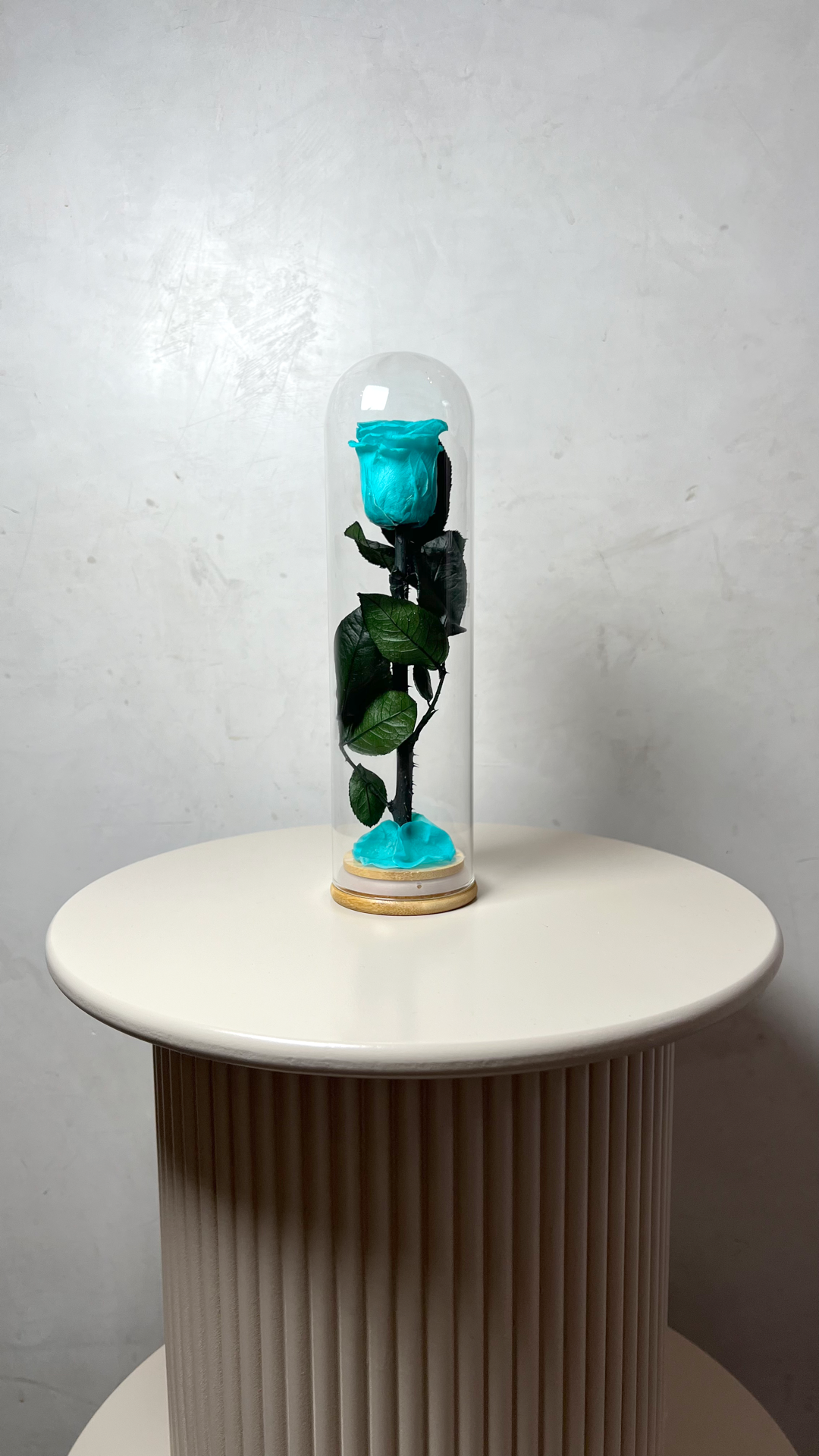 rose éternelles sous cloche éternelles, longue transparente bleu lagon