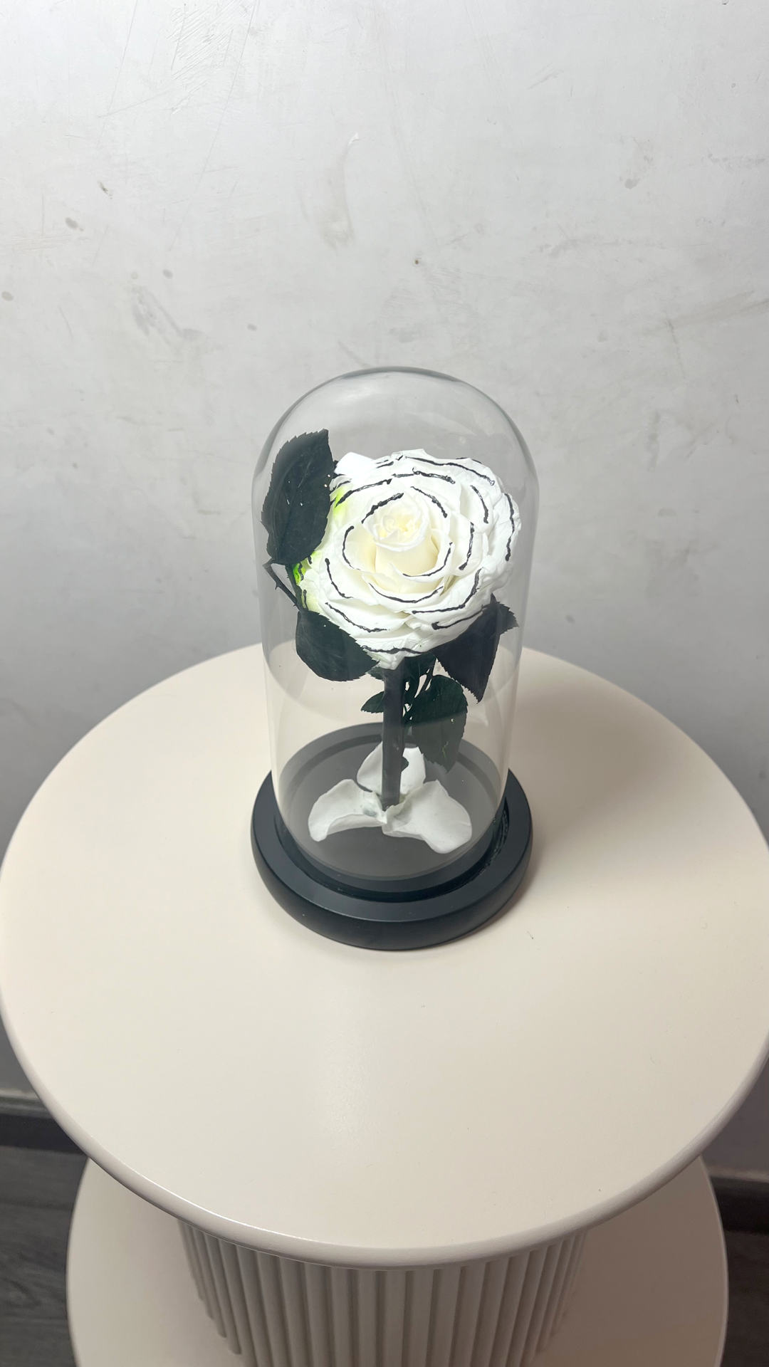 Les roses éternelles sous cloche chanel blanches et noir