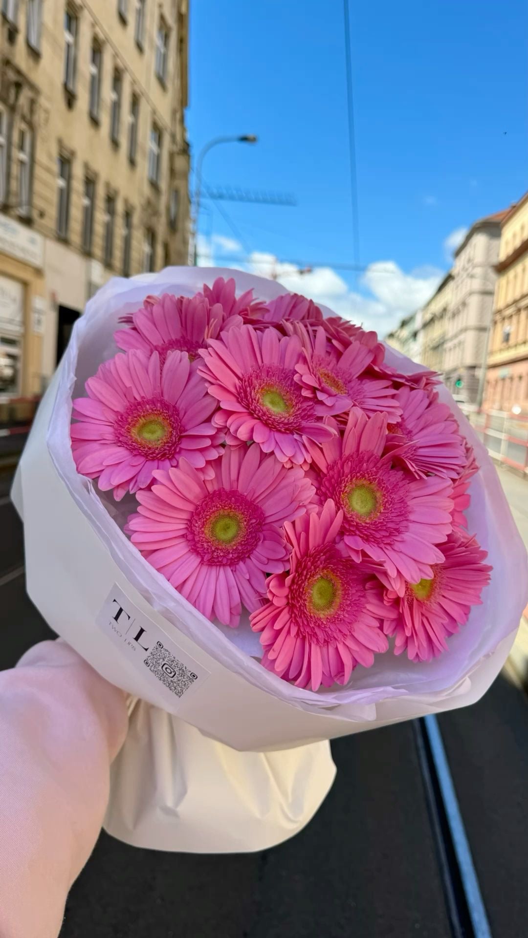 Bouquet Alinea de gerberas roses tenu à la main dans la rue, photo réelle