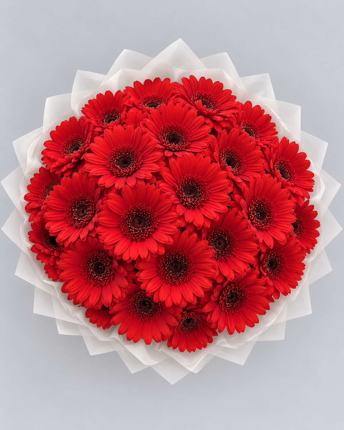 Bouquet Iman de gerberas rouges vu du dessus dans son papier blanc