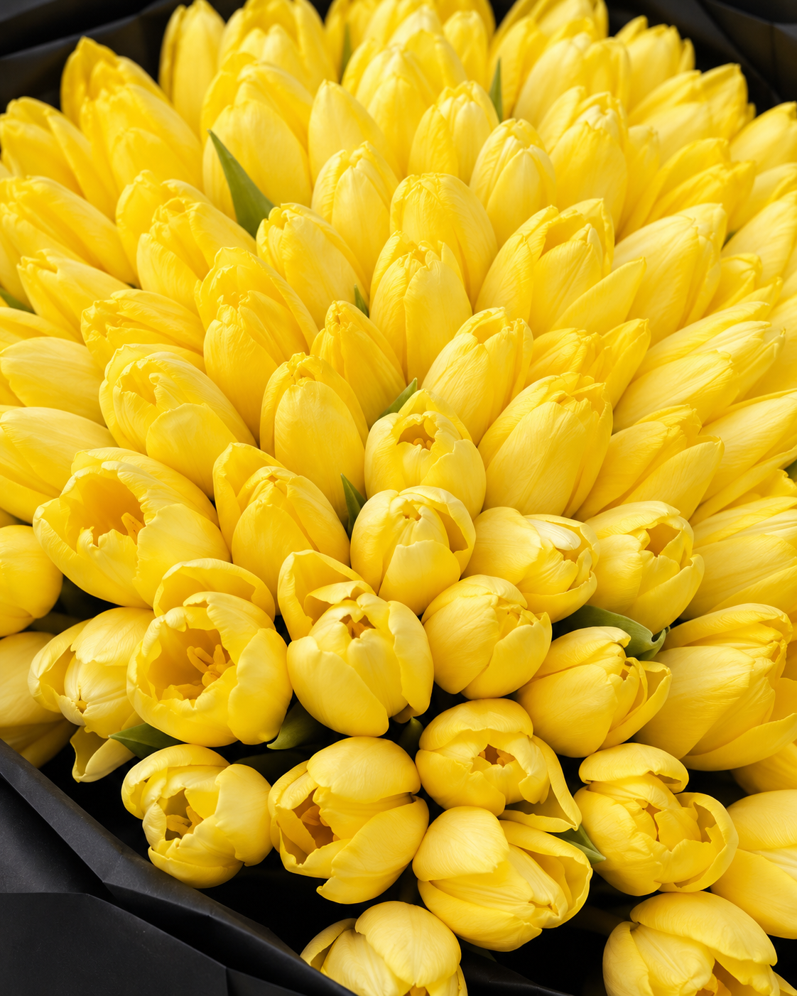 Gros plan sur les tulipes jaunes fraîches du bouquet Zoe