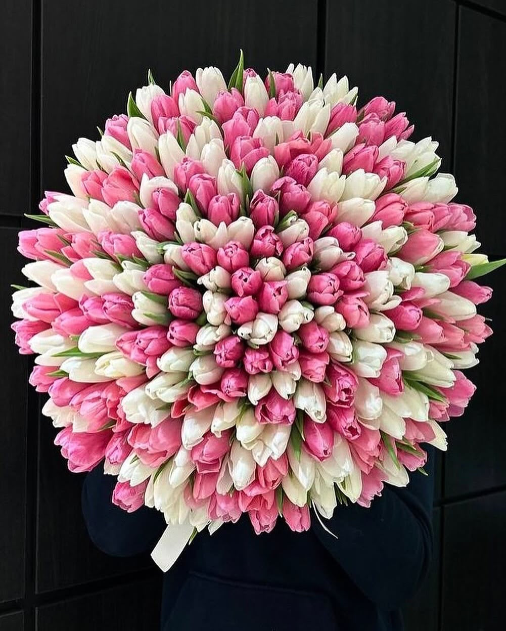 Bouquet Cadie de tulipes roses et blanches tenu dans les bras sur fond sombre