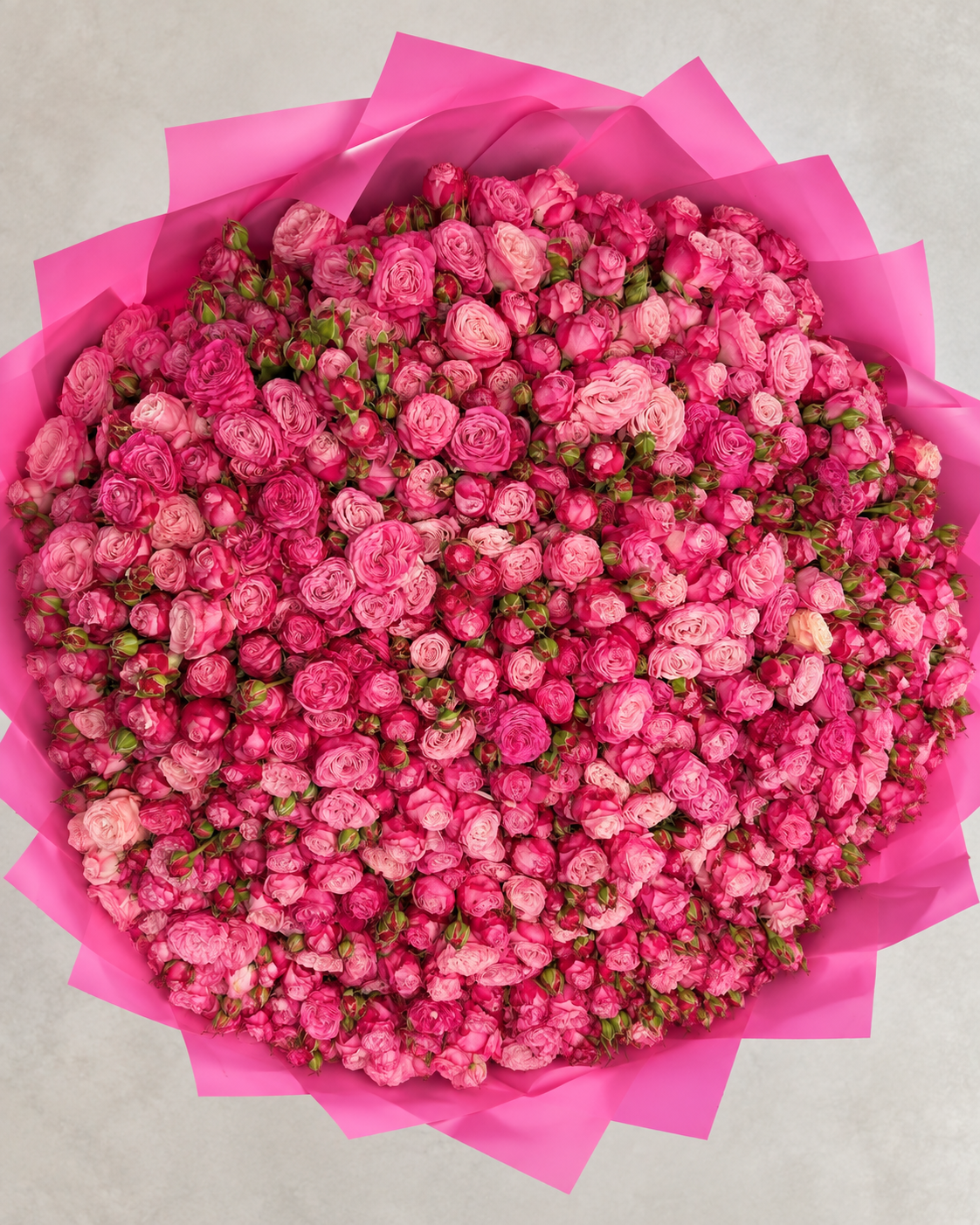 Bouquet géant ESRA de roses branchues rose fuchsia, vue de face