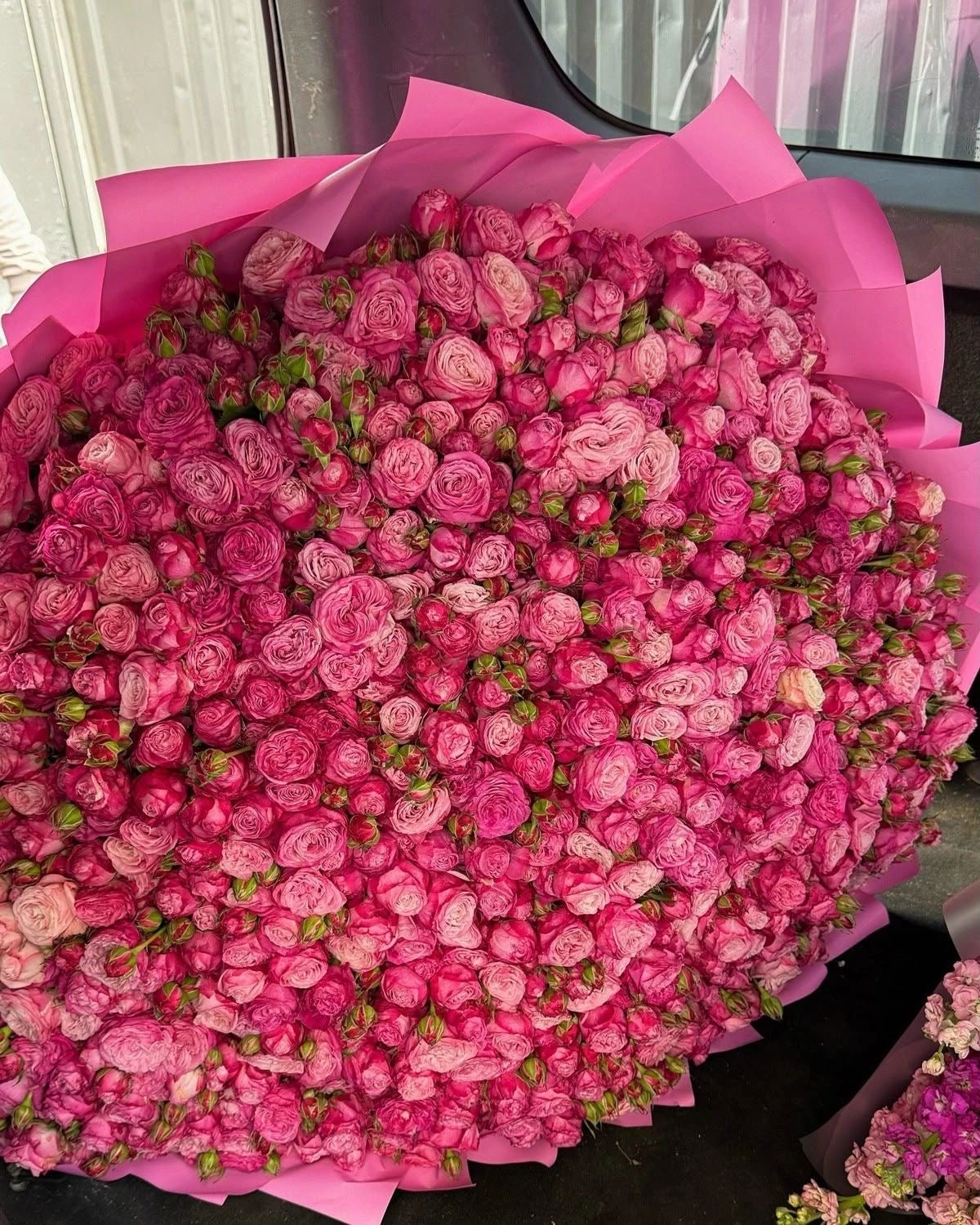 Bouquet ESRA de roses branchues fraîches rose fuchsia, photo réelle
