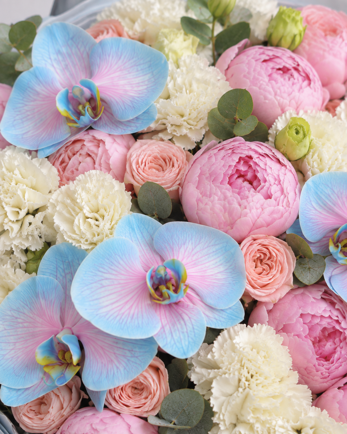 Gros plan sur les pivoines, œillets blancs et orchidées bleues du bouquet IRIS