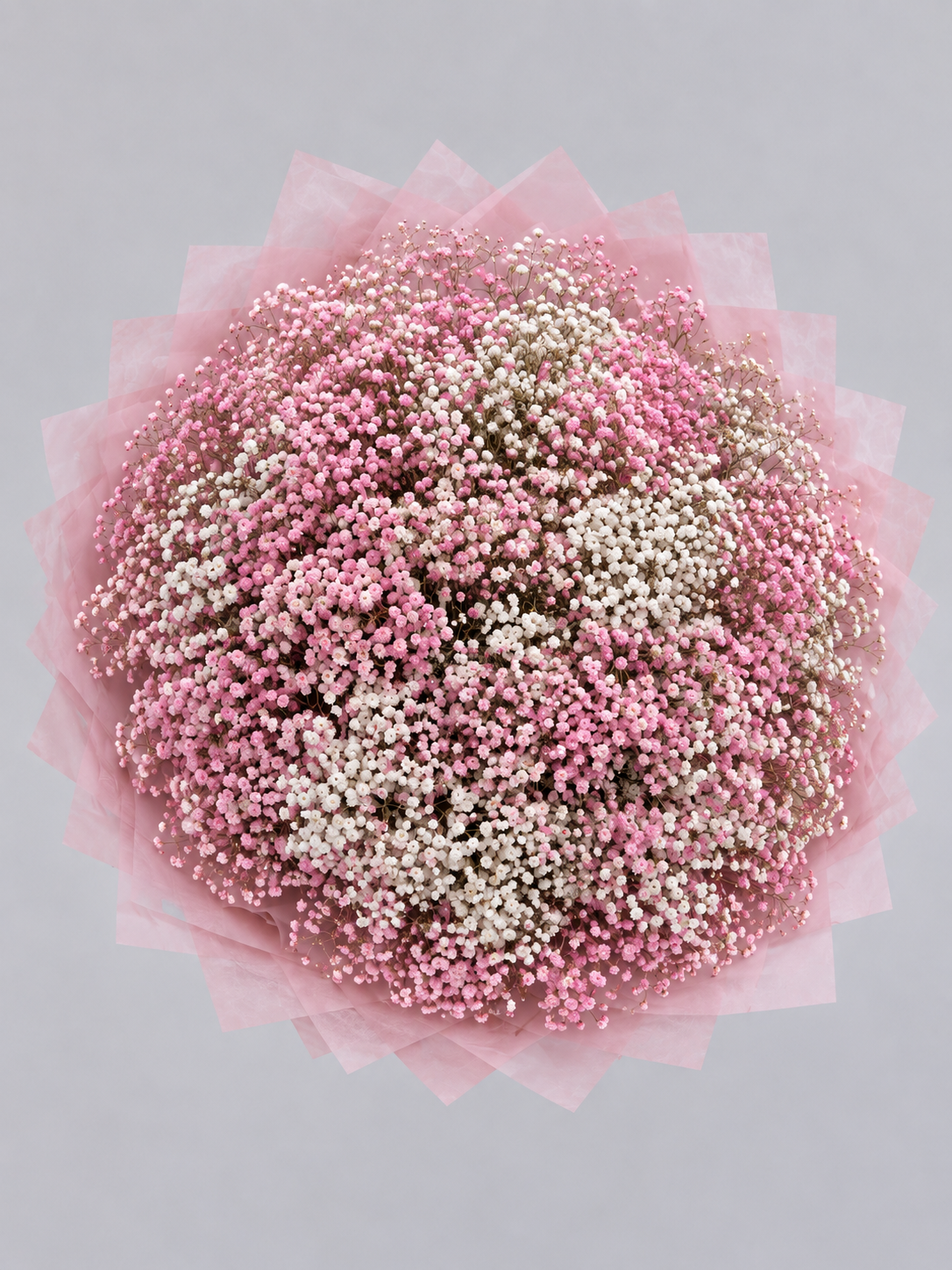 Bouquet ISABELLA de gypsophile rose, vue de face