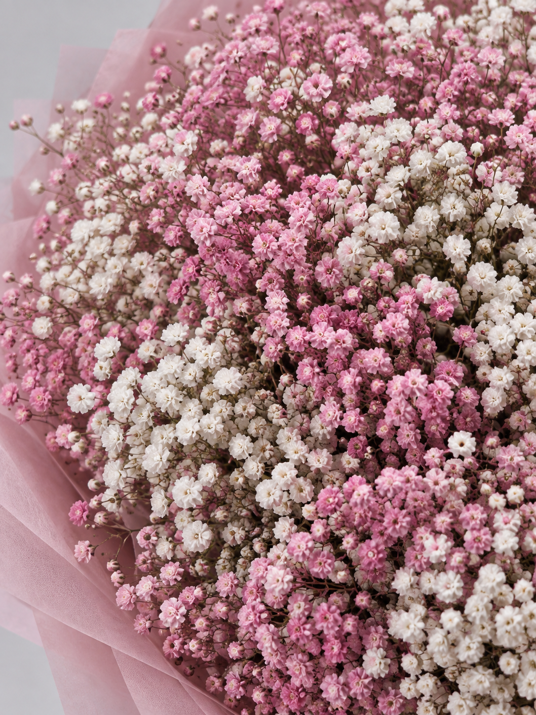 Gros plan sur la gypsophile rose du bouquet ISABELLA