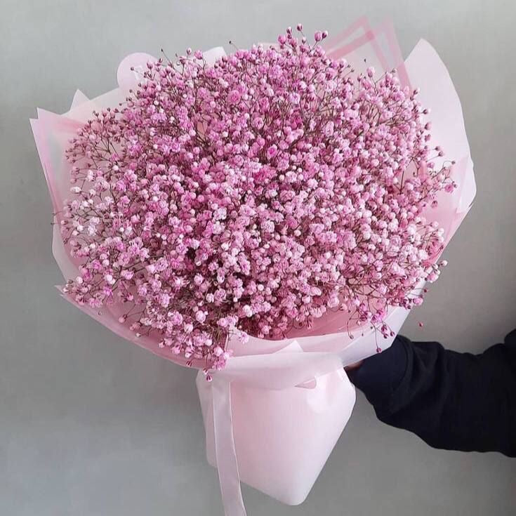 Bouquet ISABELLA de gypsophile rose fraîche, photo réelle