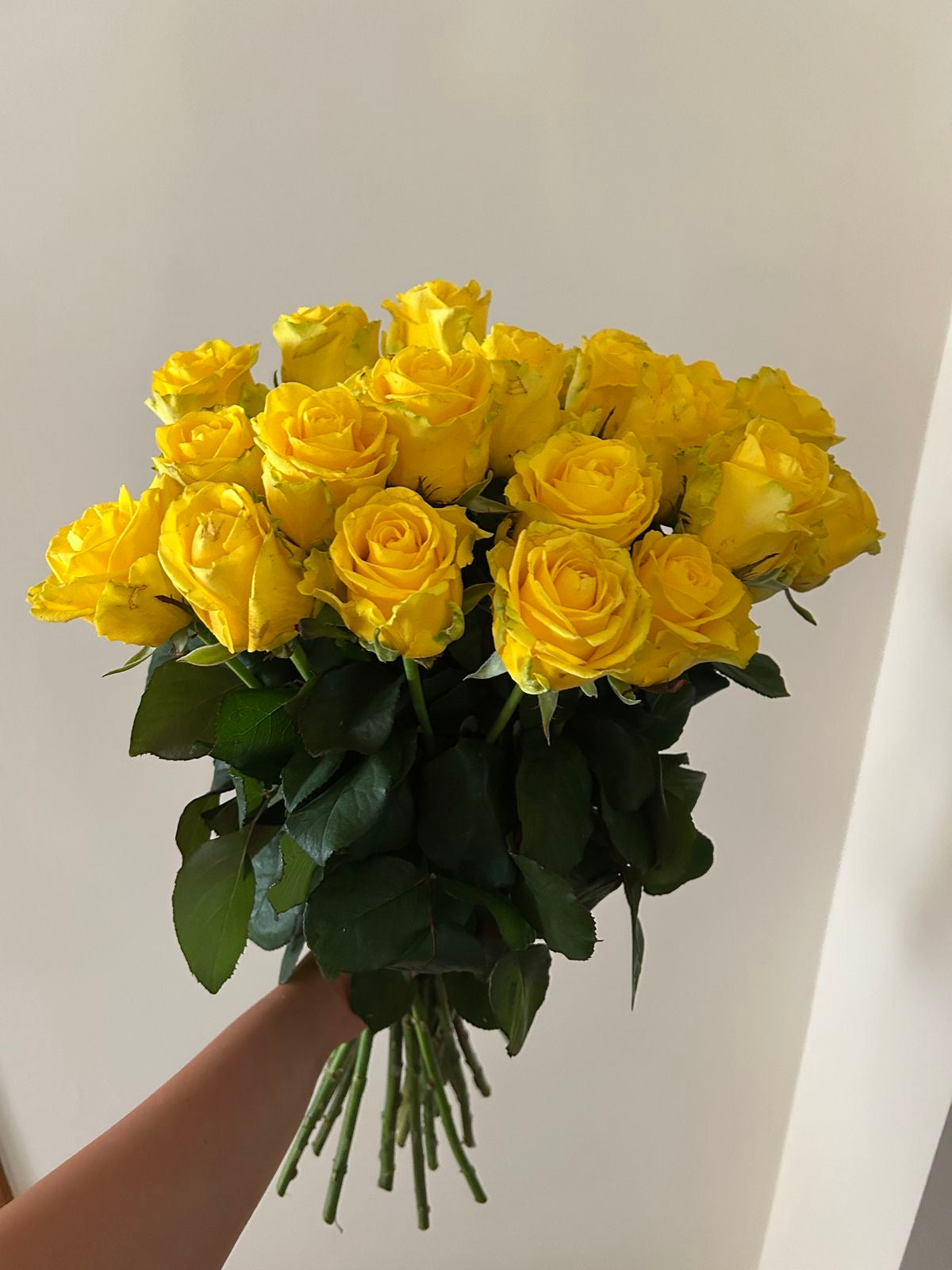 Petit bouquet de roses jaunes fraîches à tiges longues tenu à la main