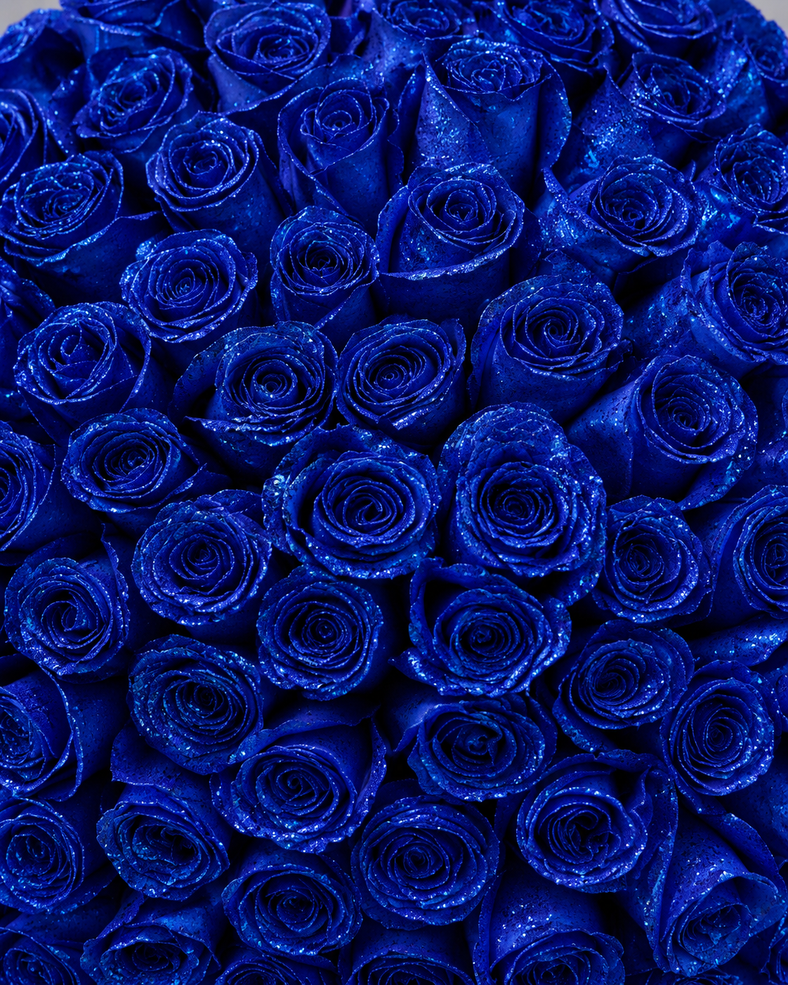 Gros plan sur les roses éternelles bleu roi du bouquet MILLE ET UNE NUIT