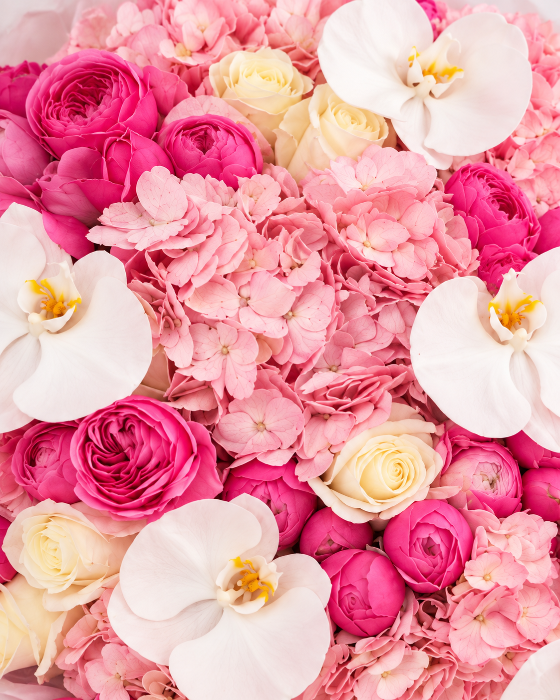 Gros plan sur les hortensias, pivoines et orchidées blanches du bouquet LINA
