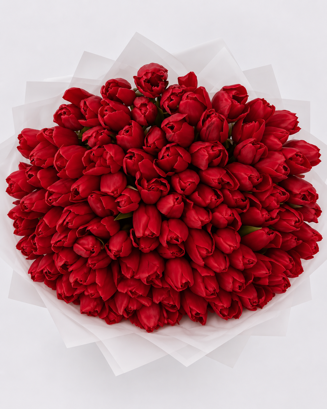 Bouquet Mira de tulipes rouges fraîches vu de dessus, papier blanc