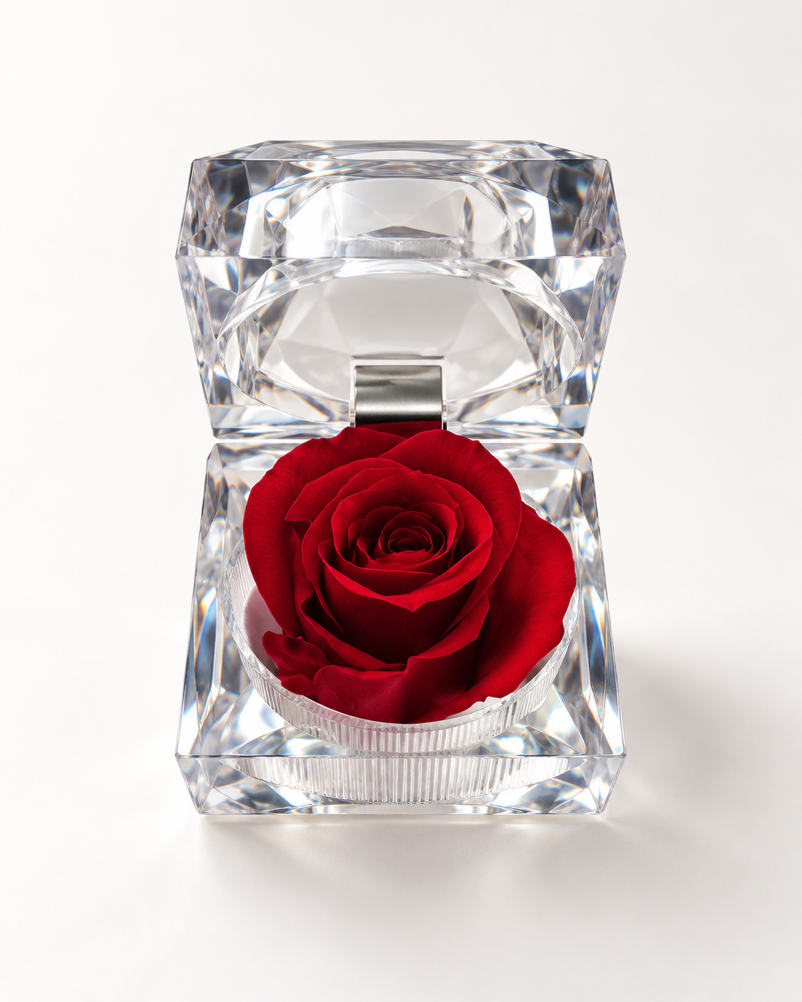 Porte rose Douce surprise, rose éternelle rouge dans un écrin transparent ouvert, vue de face