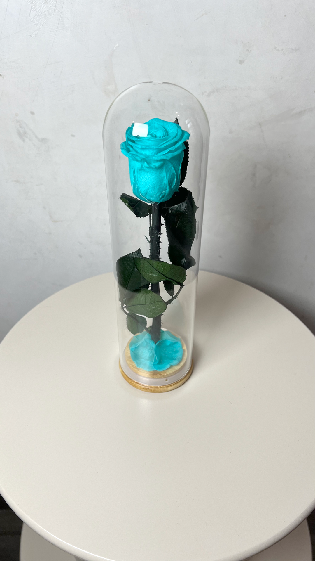 rose éternelles sous cloche éternelles, longue transparente bleu