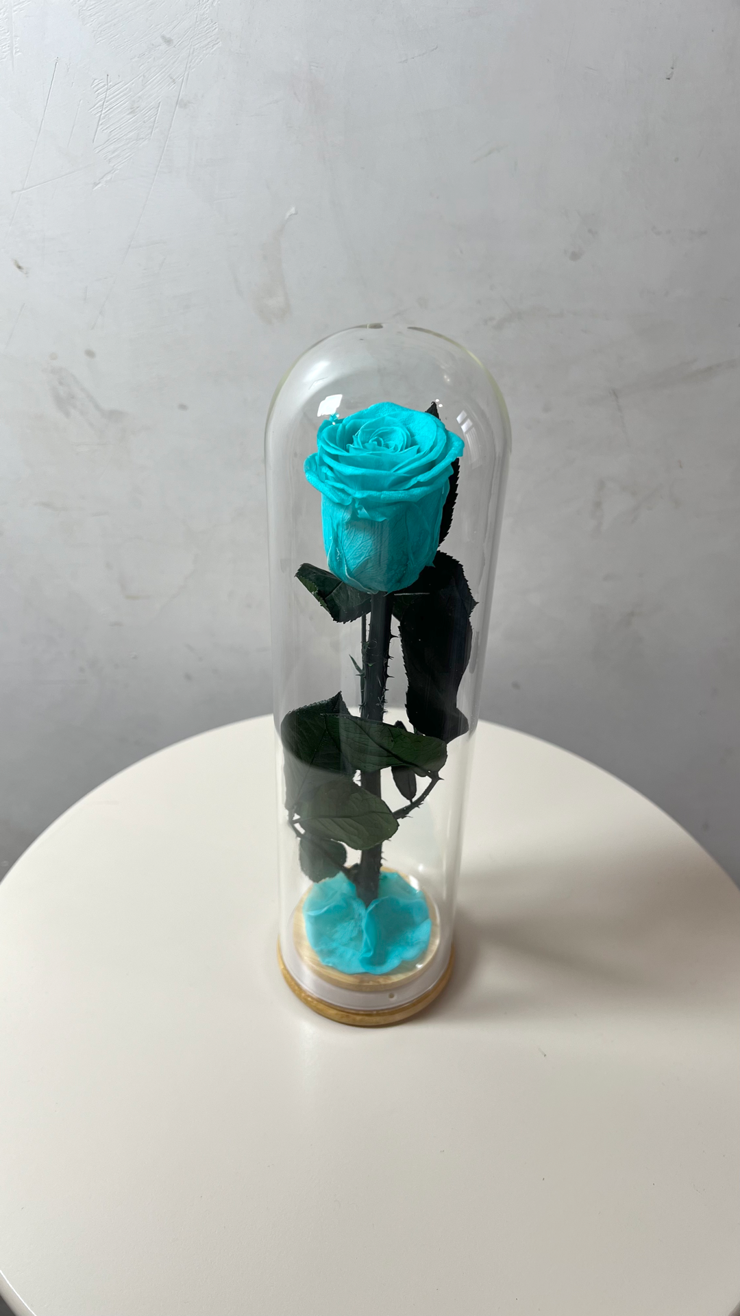 rose éternelles sous cloche éternelles, longue transparente bleu lagon