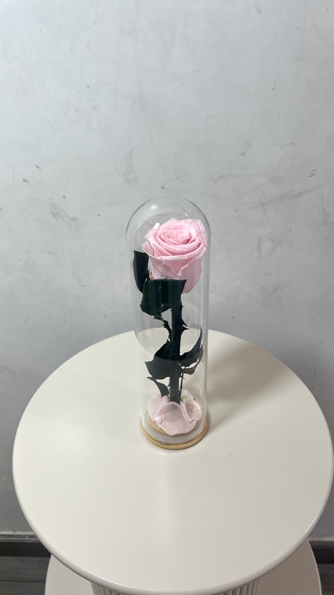 rose éternelles sous cloche éternelles, longue transparente rose