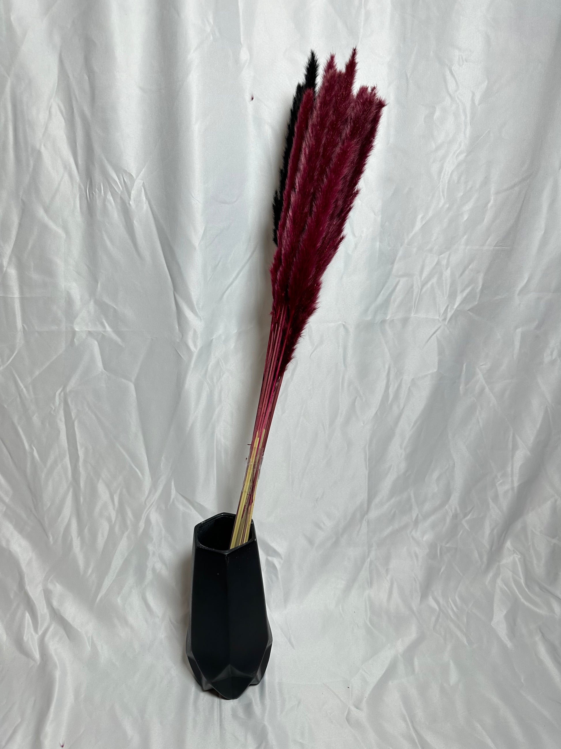 un bouquet envoûtant de pampas aux teintes profondes de noir et de rouge bordeaux